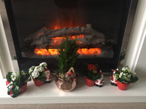 Elderly Watford home care with personal touch 2